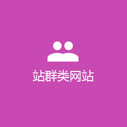 站群类解决方案