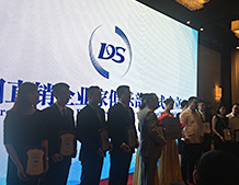 论坛6